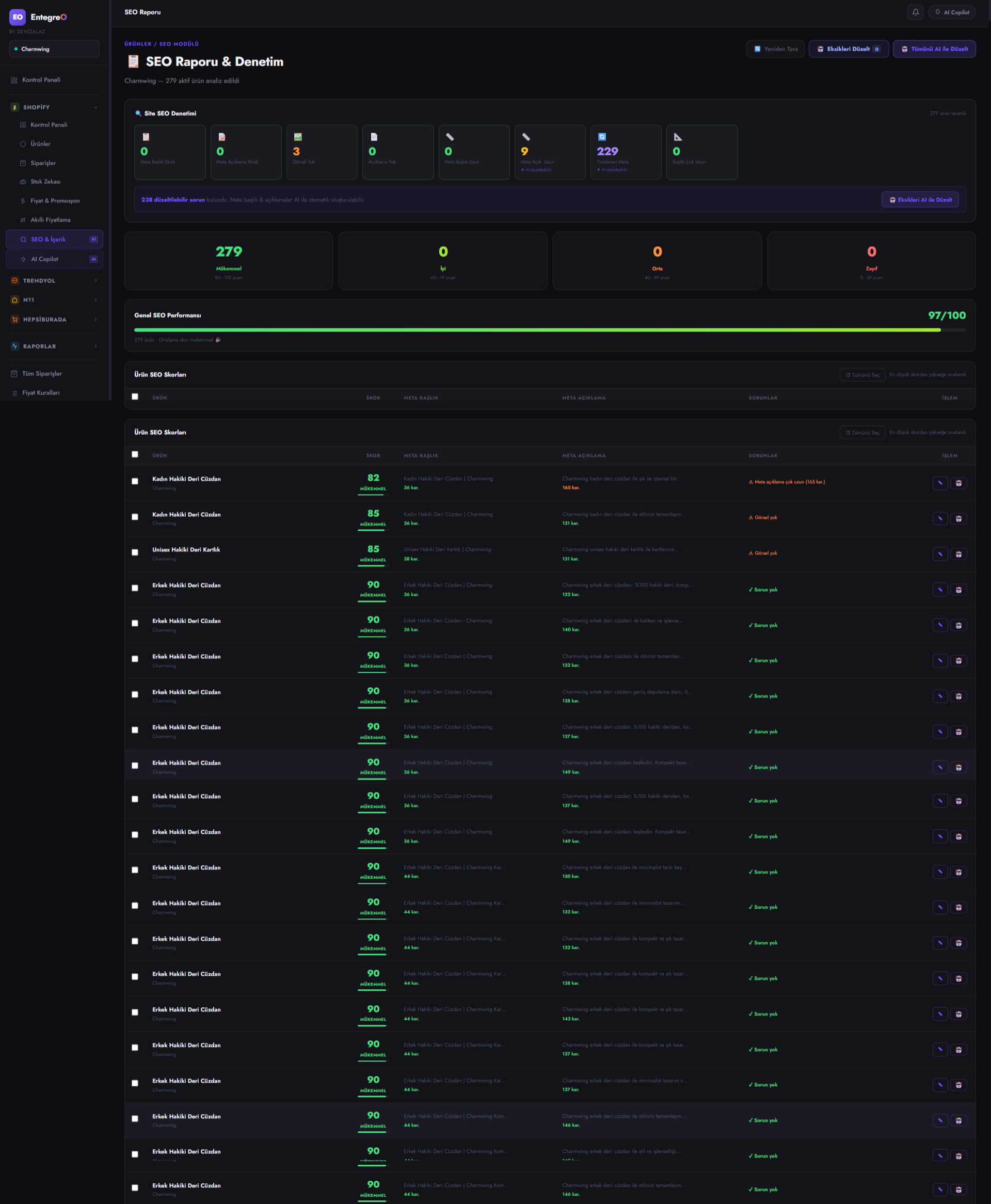 Entegreo SEO Raporu ve Denetim ekran görüntüsü